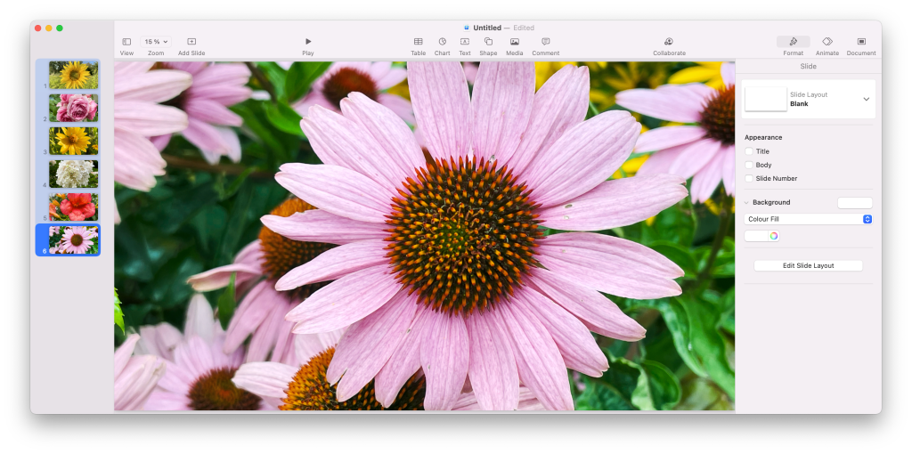 Apple Keynote showing the result