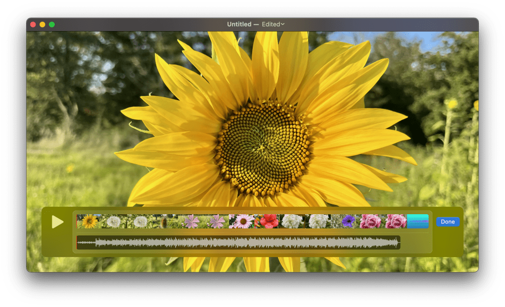 Apple QuickTime Player playing the result