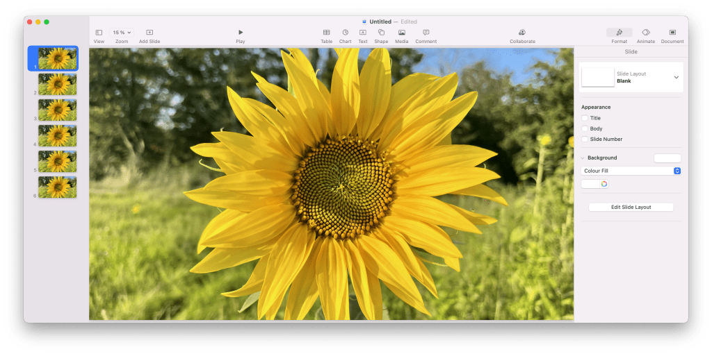 Apple Keynote with duplicate slides